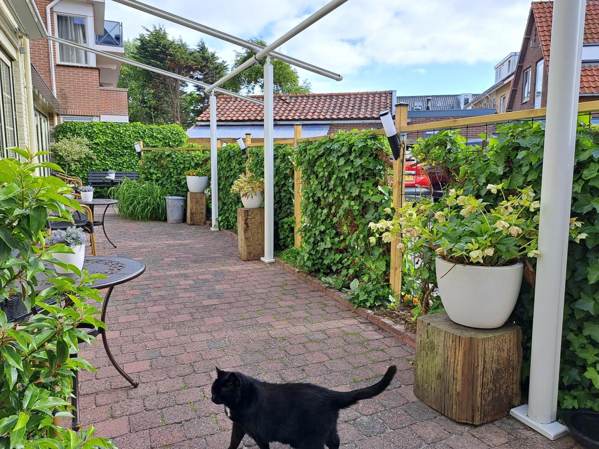 Hotel Het Gouden Boltje 2*